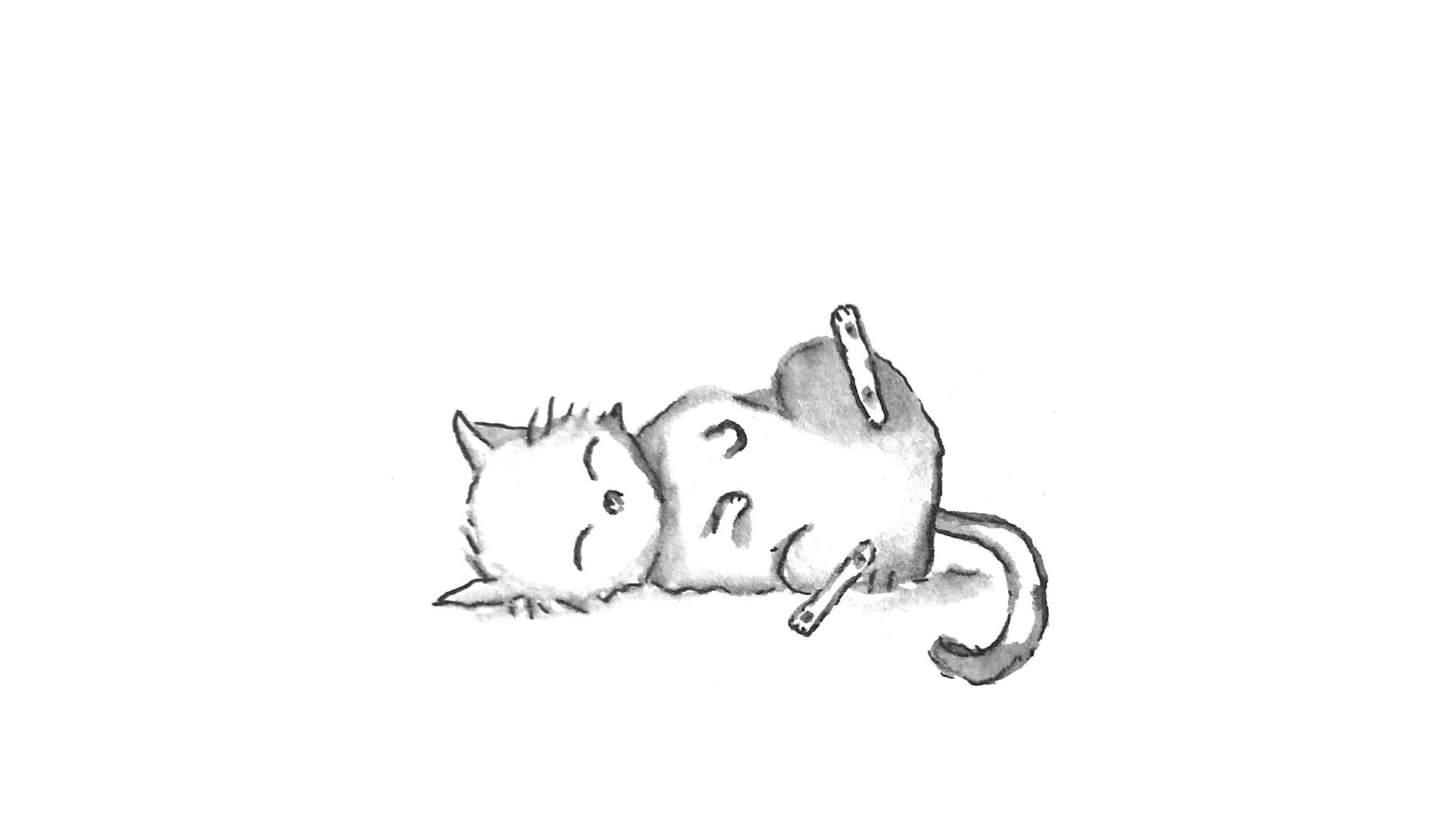 Long_Schweppe_Buddha-Katze_entspannt-liegend